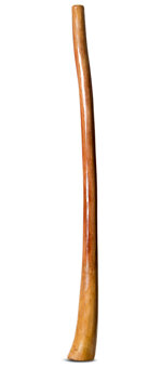 Gloss Finish Flared Didgeridoo (TW1061)
